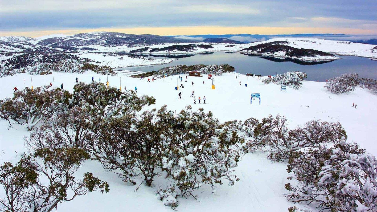 Mt Buller, Snow and Skiing